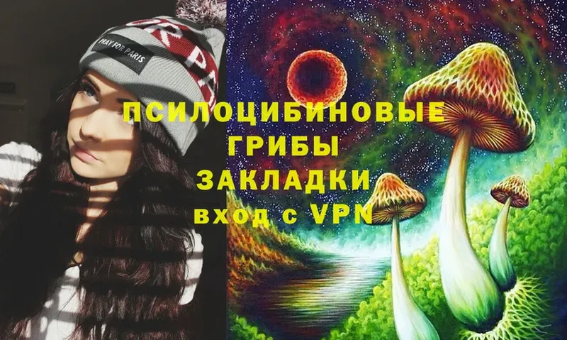 Галлюциногенные грибы Psilocybe  даркнет состав  Ардон 